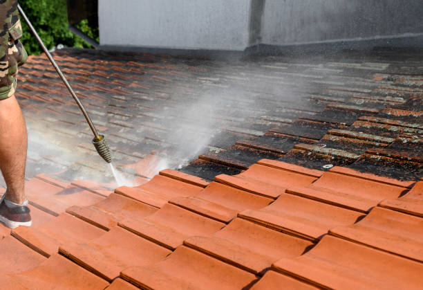 Best Deck Pressure Washing  in Cody, WY