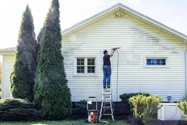 Best Commercial Building Pressure Washing  in Cody, WY