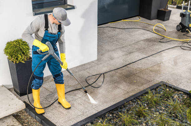 Best Pressure Washing Siding  in Cody, WY