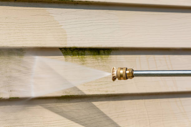 Best Roof Pressure Washing  in Cody, WY