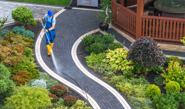 Best Residential Pressure Washing Services  in Cody, WY