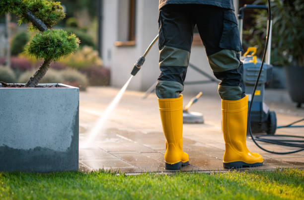 Best Power Washing Near Me  in Cody, WY
